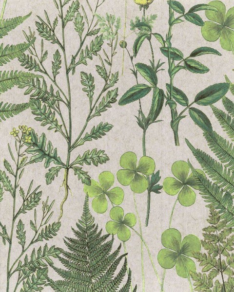FLAX WALLPAPER | Botanical | FWP-BTN-02